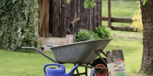 reussir engazonnement son jardin